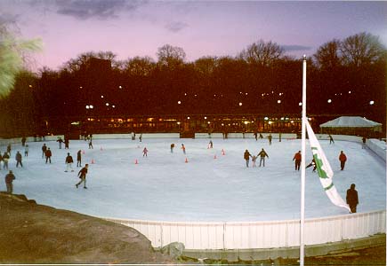 Wollman Rink